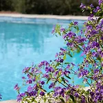Peacock * Parikia (Paros)