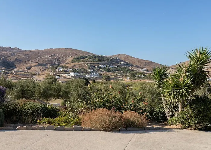 Peacock * Πάρος